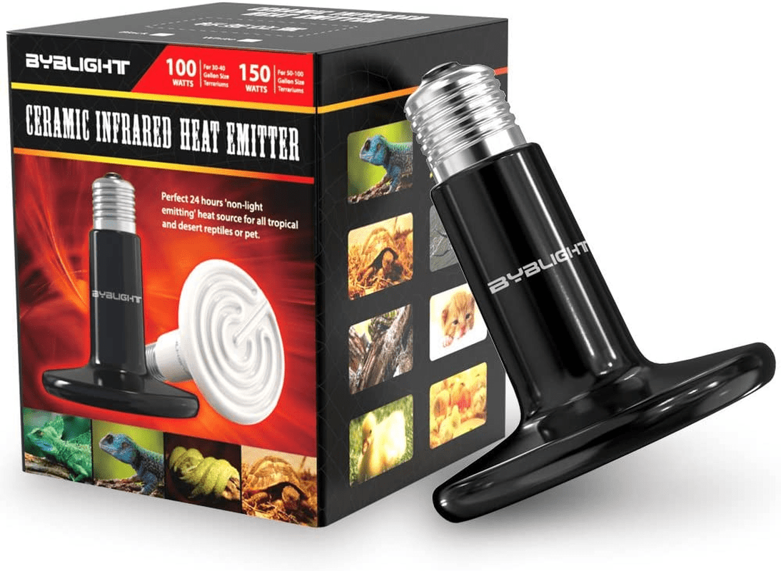 Best Heat Lamp for Dogs Comparing 10 Excellent Brands