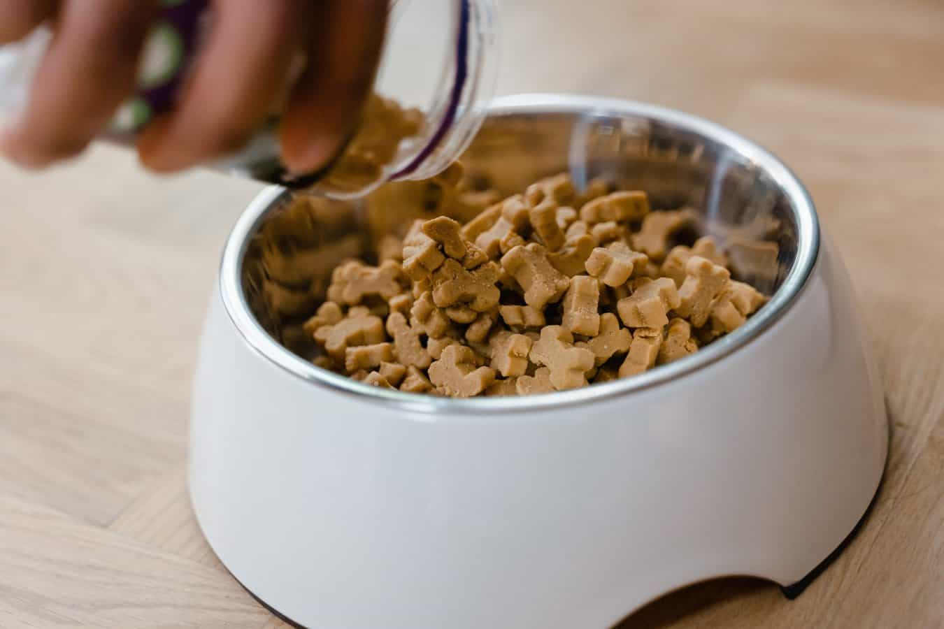 Dog food being poured into bowl for small breed feeding